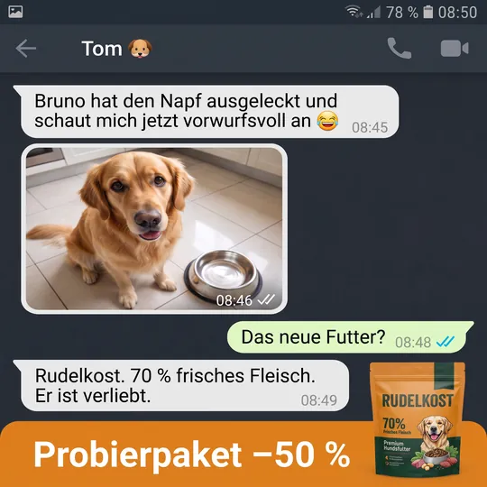 Anzeige im Look eines Messenger-Chats: Foto eines Golden Retrievers neben leerem Napf, darunter Banner „Probierpaket minus 50 Prozent“