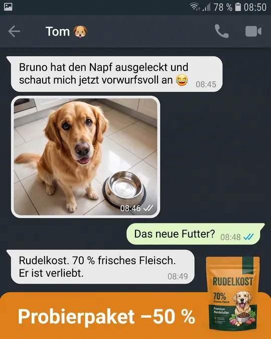 Anzeige im Look eines Messenger-Chats: Foto eines Golden Retrievers neben leerem Napf, darunter Banner „Probierpaket minus 50 Prozent“