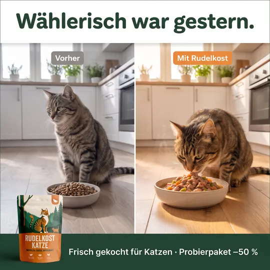 Vorher-Nachher-Anzeige: Katze wendet sich von Trockenfutter ab, rechts frisst dieselbe Katze begeistert, Überschrift „Wählerisch war gestern.“