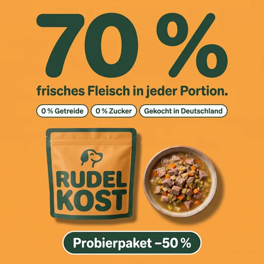 Anzeige in Orange mit riesiger Zahl „70 %“ frisches Fleisch, Futterbeutel und Napf darunter