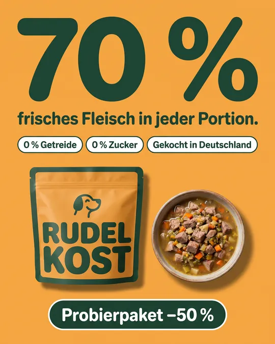 Anzeige in Orange mit riesiger Zahl „70 %“ frisches Fleisch, Futterbeutel und Napf darunter