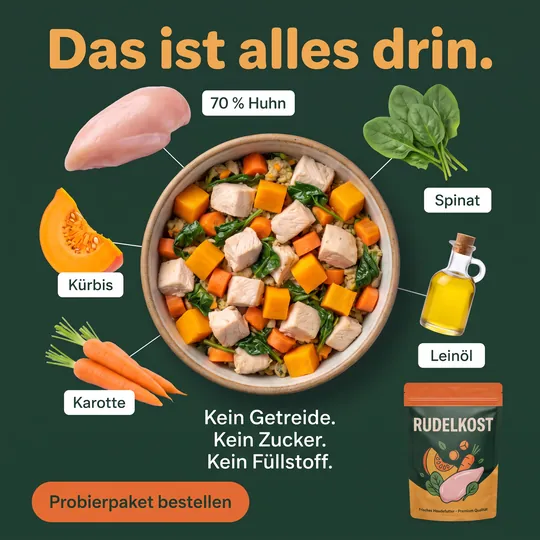 Zutaten-Anzeige: Napf mit frischem Hundefutter von oben, rundherum Huhn, Kürbis, Karotte, Spinat und Leinöl beschriftet