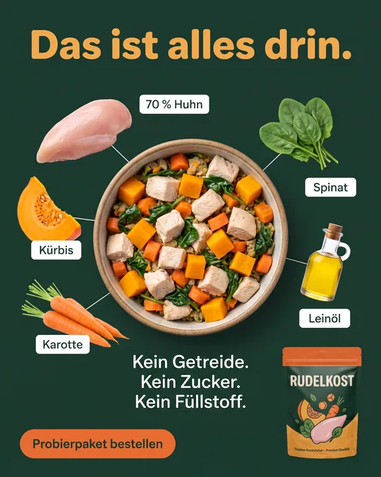 Zutaten-Anzeige: Napf mit frischem Hundefutter von oben, rundherum Huhn, Kürbis, Karotte, Spinat und Leinöl beschriftet